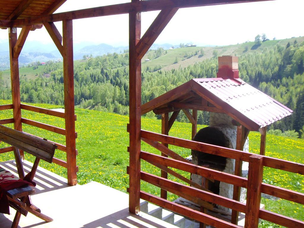 Garofita Pietrei Craiului Hotell Peştera Rum bild